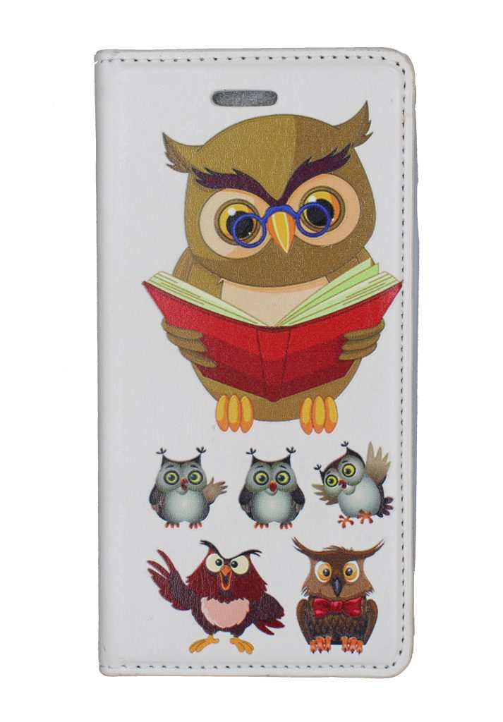 Чехол-книжка для iPhone 6/6S Ученая Сова